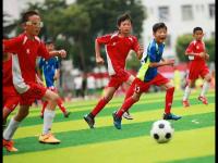 比利时vs塞内加尔直播_比利时vs塞内加尔比赛视频直播_比利时vs塞内加尔在线观看无插件直播